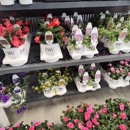 Potter's Crossing - Garden Centers