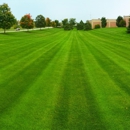 Quality Landscaping & Lawn - Landscape Designers & Consultants