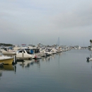 Pelican Isle