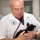 VCA Southwest Freeway Animal Hospital