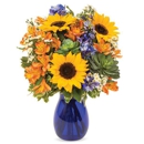 Stein Your Florist - Flowers, Plants & Trees-Silk, Dried, Etc.-Retail