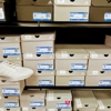 Shoe Sensation gallery
