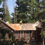 Alpine Abatement Associates