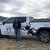 Rowdi Fella's Pest Control gallery