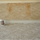 Budget Carpet Cleaning