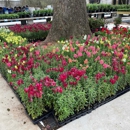 Hughes Plant Farm - Garden Centers
