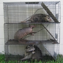 Florida Nuisance Trappers - Animal Removal Services