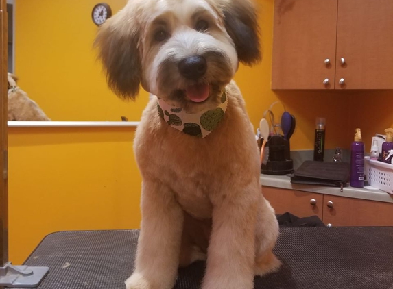 Estrella Pet Grooming - San Juan Capistrano, CA