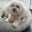 Dirty Dogs Del Mar Highlands - Pet Grooming