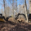 Unlimited Tree Service gallery
