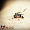 Pro Shield Termite & Pest