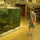 Cabela's - Sporting Goods
