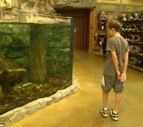 Cabela's - Billings, MT