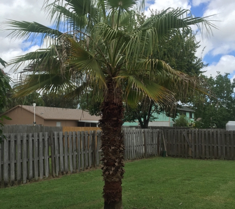 Economy Cut Lawn Care Inc. - Malabar, FL. Cut and cleaned up , Left full for a healthier and natural look ����