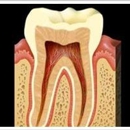 Lawrence Kotler DDS, M.S. - Dentists