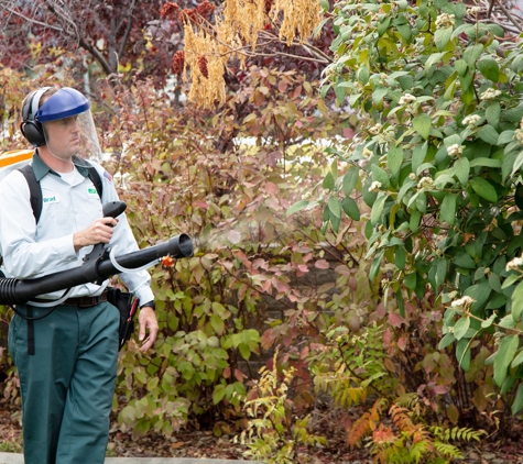 Edge Pest Control and Mosquito Services - Hubbard, OR