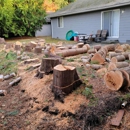 Welch Tree Service - Arborists