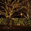 Milosi Landscaping gallery