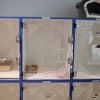 Bayside Pet Resort gallery