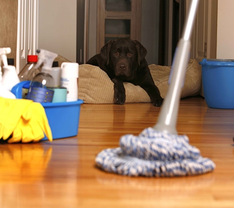 USA CLEANING - Medford, MA