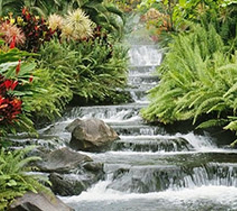 Artscapes Pools San Antonio - San Antonio, TX