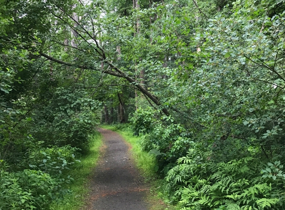 Great Brook Farm State Park - Carlisle, MA