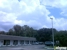 Ponderosa Animal Clinic - Veterinary Clinics & Hospitals