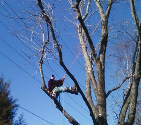 Father and Son Tree Care