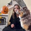 PlayStayTion Pet Resort & Training - Pet Boarding & Kennels