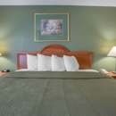 Quality Inn - Motels