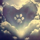 Legacy Pet Crematory