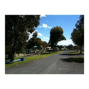 Gallery Image Number 7