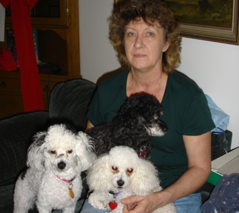 Just Poodles - North Wilkesboro, NC