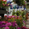 Mahoney's Garden Center - Tewksbury gallery