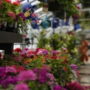 Mahoney's Garden Center - Tewksbury - Garden Centers