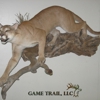 Game Trail Taxidermy gallery