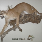 Game Trail Taxidermy
