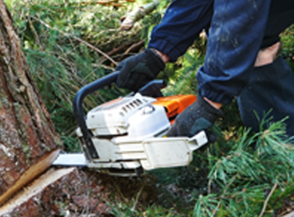 Carlos Lawn & Tree Service - Round Rock, TX