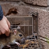 Paske Pest Control & Solutions gallery