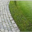 Scholl's Landscaping & Lawn Maintenance - Gardeners