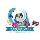 BabuHawaii Foundation - Charities