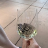 Oak Farm Vineyards gallery