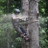 Python Tree Service gallery