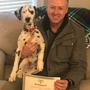 PetImpact! Dog Training Services