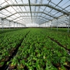 Conley's Greenhouse Manufacturing and Sales gallery