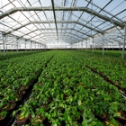 Conley's Greenhouse Manufacturing and Sales