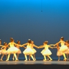 Dance Quest International gallery