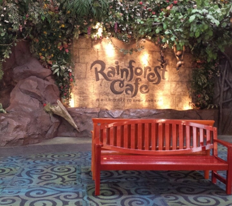 Rainforest Cafe - Katy, TX