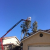 Roley's Tree Care gallery