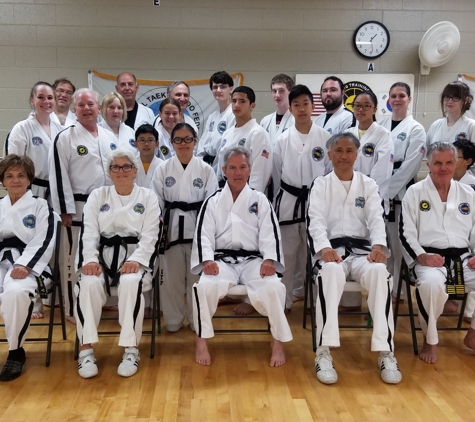 School of TaekwonDo Promotion Training Center - Novi, MI